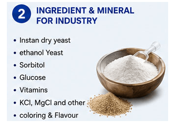 B1_INGREDIENT