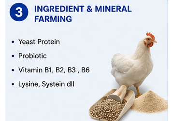 C1_INGREDIENT
